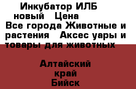 Инкубатор ИЛБ-0,5 новый › Цена ­ 35 000 - Все города Животные и растения » Аксесcуары и товары для животных   . Алтайский край,Бийск г.